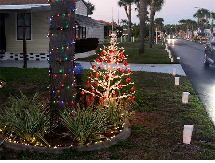 Luminaries2018-7